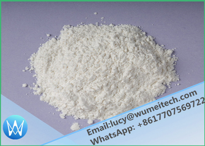 Prohormones White Powder 6-Oxo / Androstenetrione / 4- Androstene-3, 6, 17- Trione