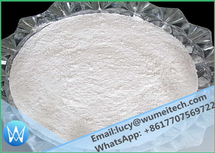 Prohormones White Powder 6-Oxo / Androstenetrione / 4- Androstene-3, 6, 17- Trione