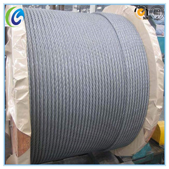 Factory Price Galvanized/Ungalvanized Steel Wire Rope
