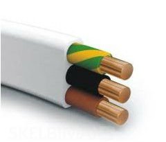 300/500V,Copper Conductor PVC Insulated PVC Sheathed Flat Wire
