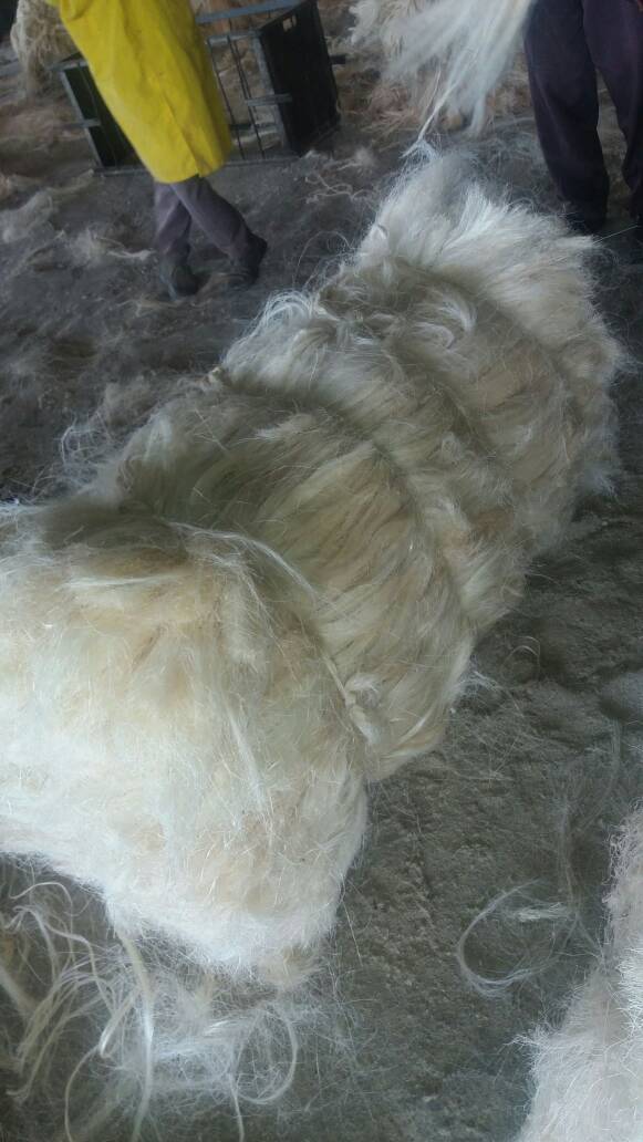 natural sisal fibers for art and crafts, kids crafts, weavers, spinners, yarn and fiber stores