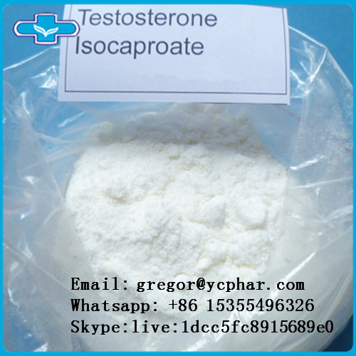  Testosterone Isocaproate