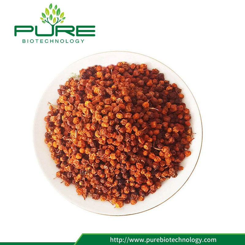 Hot selling organic sea buckthorn berry with low price