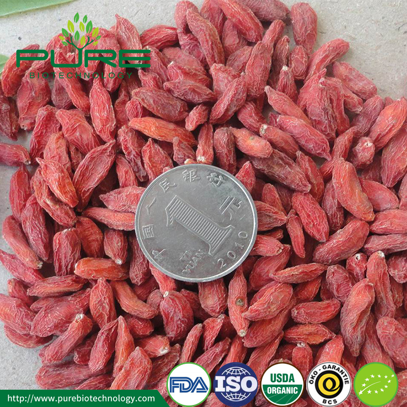 Buy Quality Organic Dried Goji Berries for sale