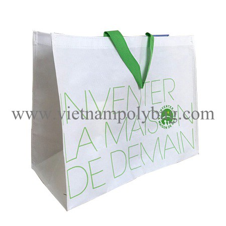 Vietnam RPET laminated shopping bag - vietnampolybag.com