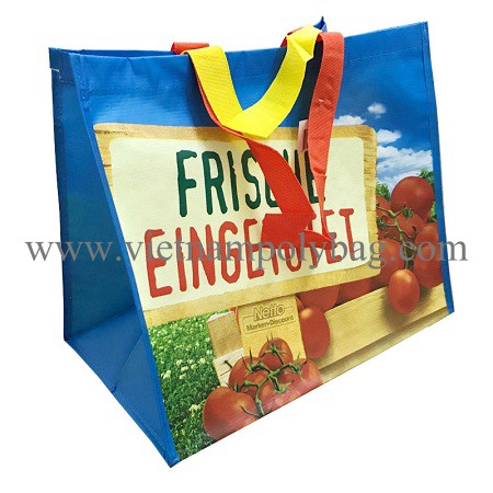 Vietnam RPET laminated shopping bag