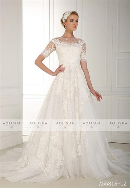 Short Sleeve Round Collar Inllusion Lace Applique Ball Gown
