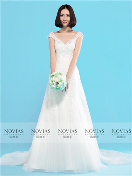Sleeveless V-Neckline Lace Sheath Wedding Gown