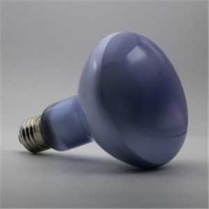 Reptile Daylight Neodymium Basking Lamp R30 / R95 150W