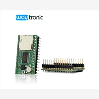 Only Sound IC/ Module gives you everything that you need to