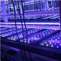 led aquarium light is that simple at there for you