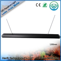 You have the chance of getting led grow light bar for a bet