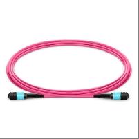 MPO Female to MPO Female 12 Fibers OM4 (OM3) 50/125 Multimode Trunk Cable, Type B, Elite, LSZH, Magenta 