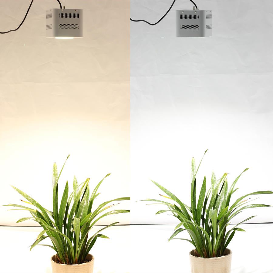 Hydroponic lamp is 100% new and authentic, reliable quality