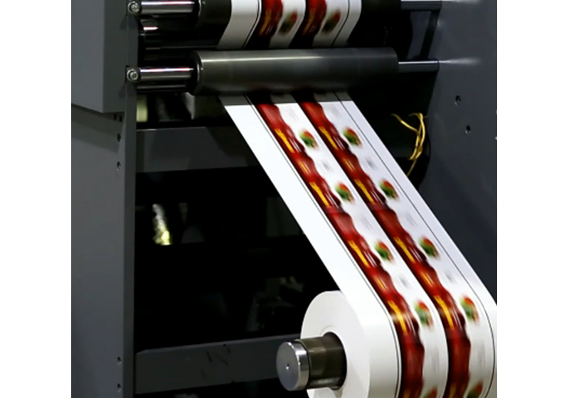 GPPE Masking Paper Off-line Flexographic Printing Machine
