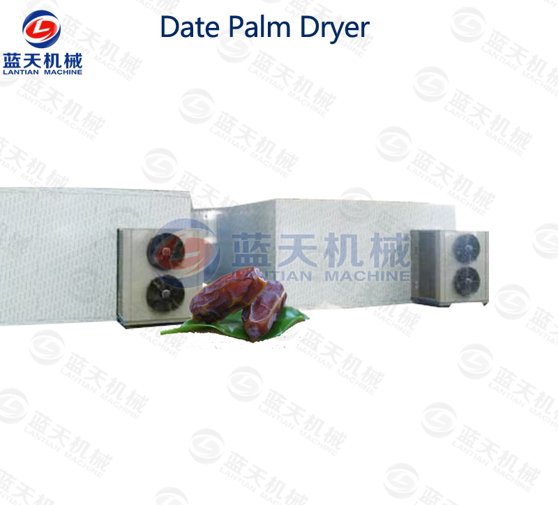 Дата Palm Dryer