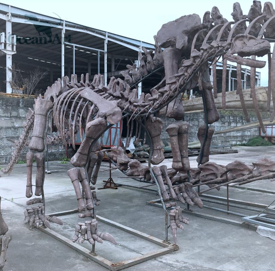 Man-made dinosaur skeleton fossil model