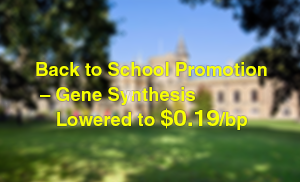 Syno® 2.0-Gene Synthesis
