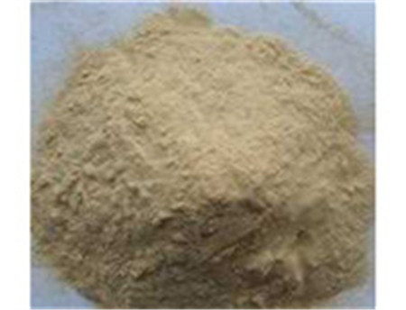 Sophora Root Extract,Sophora Root Extract Factory,Sophora Root Extract Supplier,Sophora Root Powder