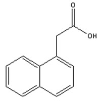 NAA (Naphthaleneacetic Acid)