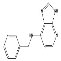 6-BA (6-Benzylaminopurine)