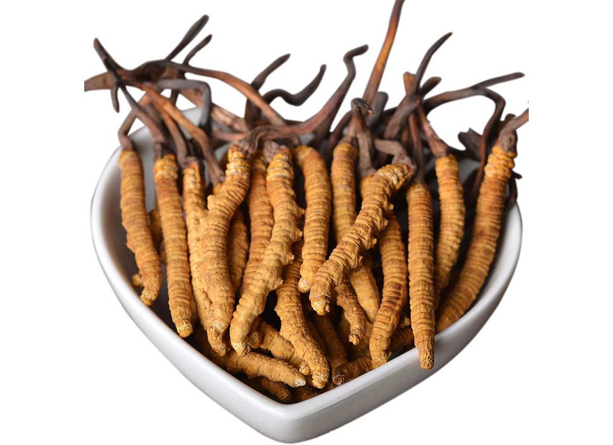 Cordyceps sinensis extract oral liquid,Cordyceps extract containing active sugar