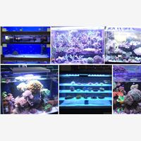Herifidimmable led aquarium light,preferred choice for you