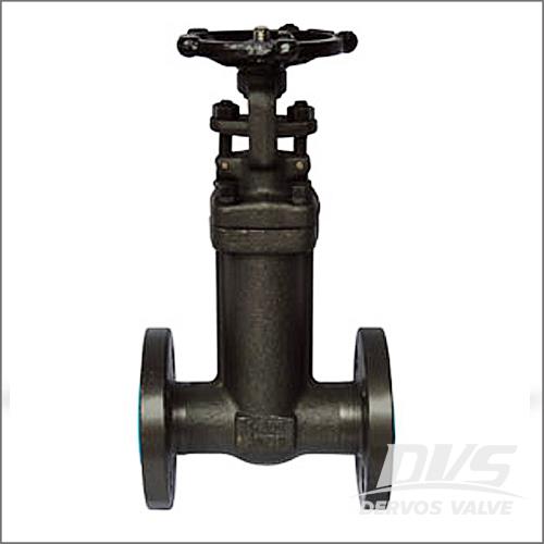Forged Bellow Seal Gate Valves