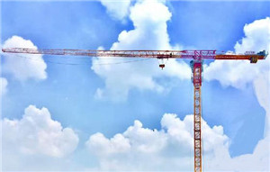 Tip Load of 2.6tons Construction Building Tower Crane