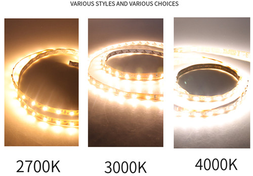 LED high brightness and high Ra 5050 bare board low voltage light strip  wholesale 