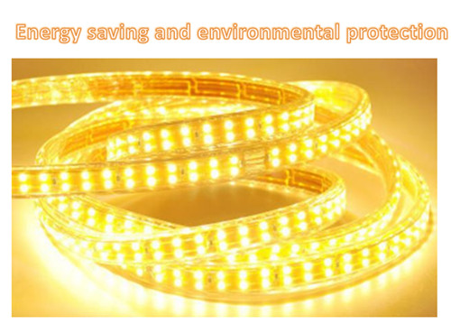 China high quality hot selling Home improvement ceiling outdoor 220V double row LED light strip wholesale