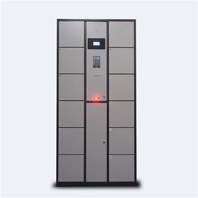Electronic Storage Locker