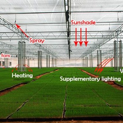Agricultural Glass Greenhouse For Vegetable