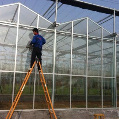 Good Price For Commercial Glass Greenhouse