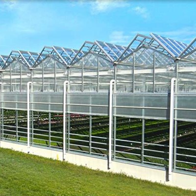 Sightseeing Venlo Tempered Glass Greenhouse