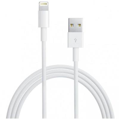 Apple OEM Lightning Cable Bulk
