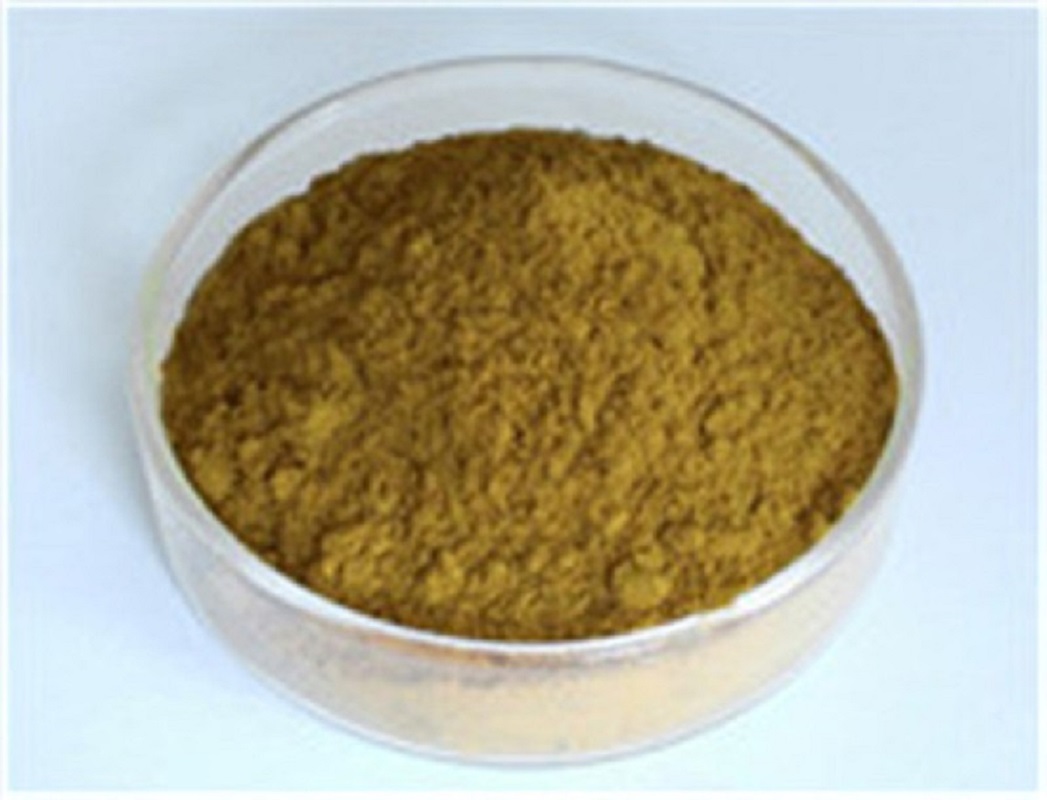 Cistanche Tubulosa Extract Supplier