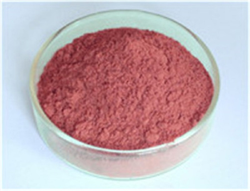 anti-tumor Grape Seed Extract Manufacturer