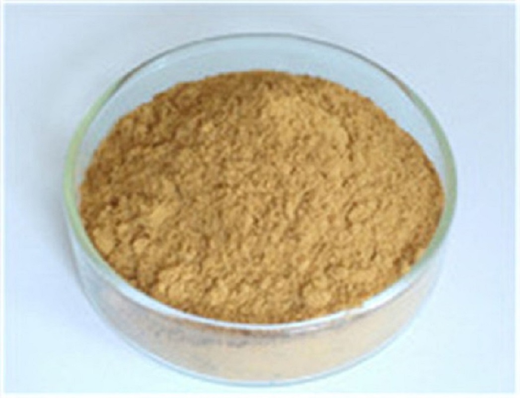 Astragalus Root Extract protect liver Manufacturer