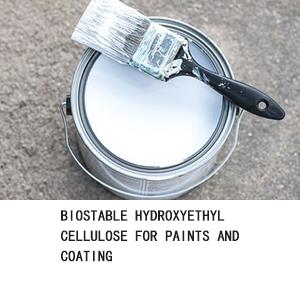 Biostable Hydroxyethyl Cellulose For Paints And Coating