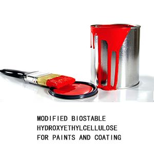Modified Biostable Hydroxyethyl Cellulose For Paints And Coating