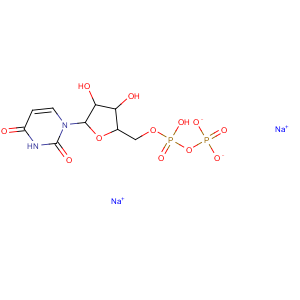 尿苷-5’-二磷酸葡萄糖二钠