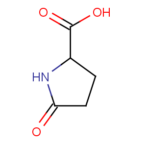 Л - пироглутаминовая кислота