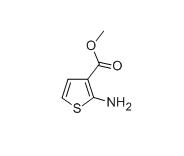 Methyl 2-Aminothiophene-3-Carboxylate