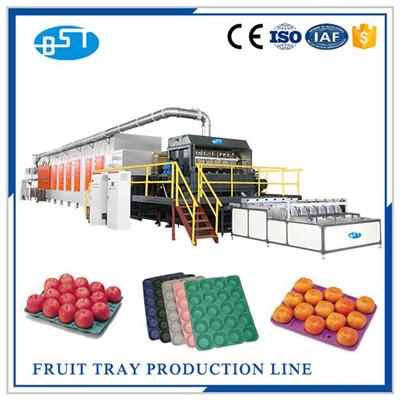 Fruit Tray Production Line