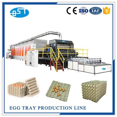 Egg Tray Machinery