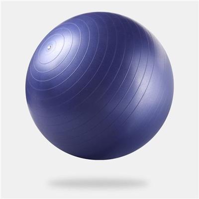 65cm Gym Ball Anti Burst