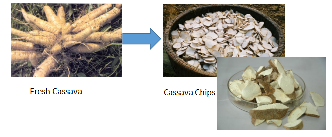 Cassava Chips Machine 2019
