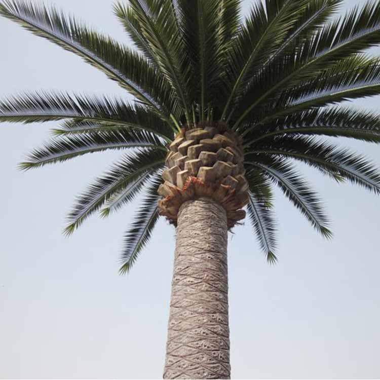 Artificial Date Palm