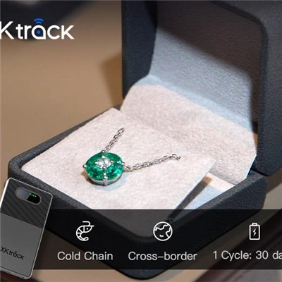 Trace Track Solutions for Luxury Goods Shipping Empowered by GPS Location Tracker and Temperature and Humidity Logger